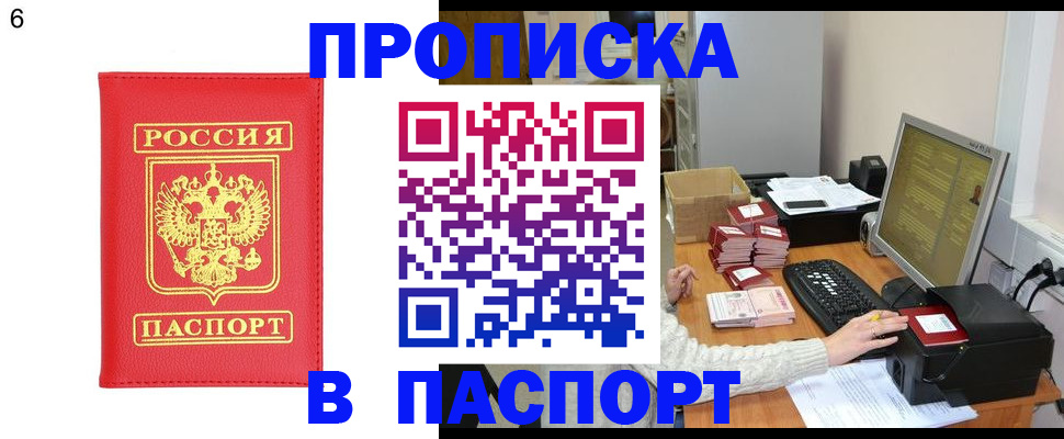 временная регистрация поиск в Лосино-Петровском